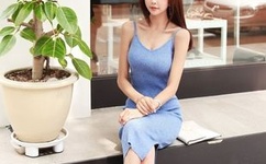 车文越详细越好推荐